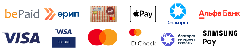 Main payment methods on the site